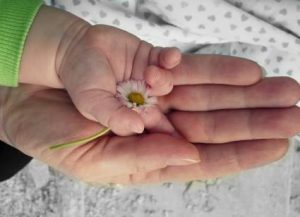 Baby's hand holding a flower